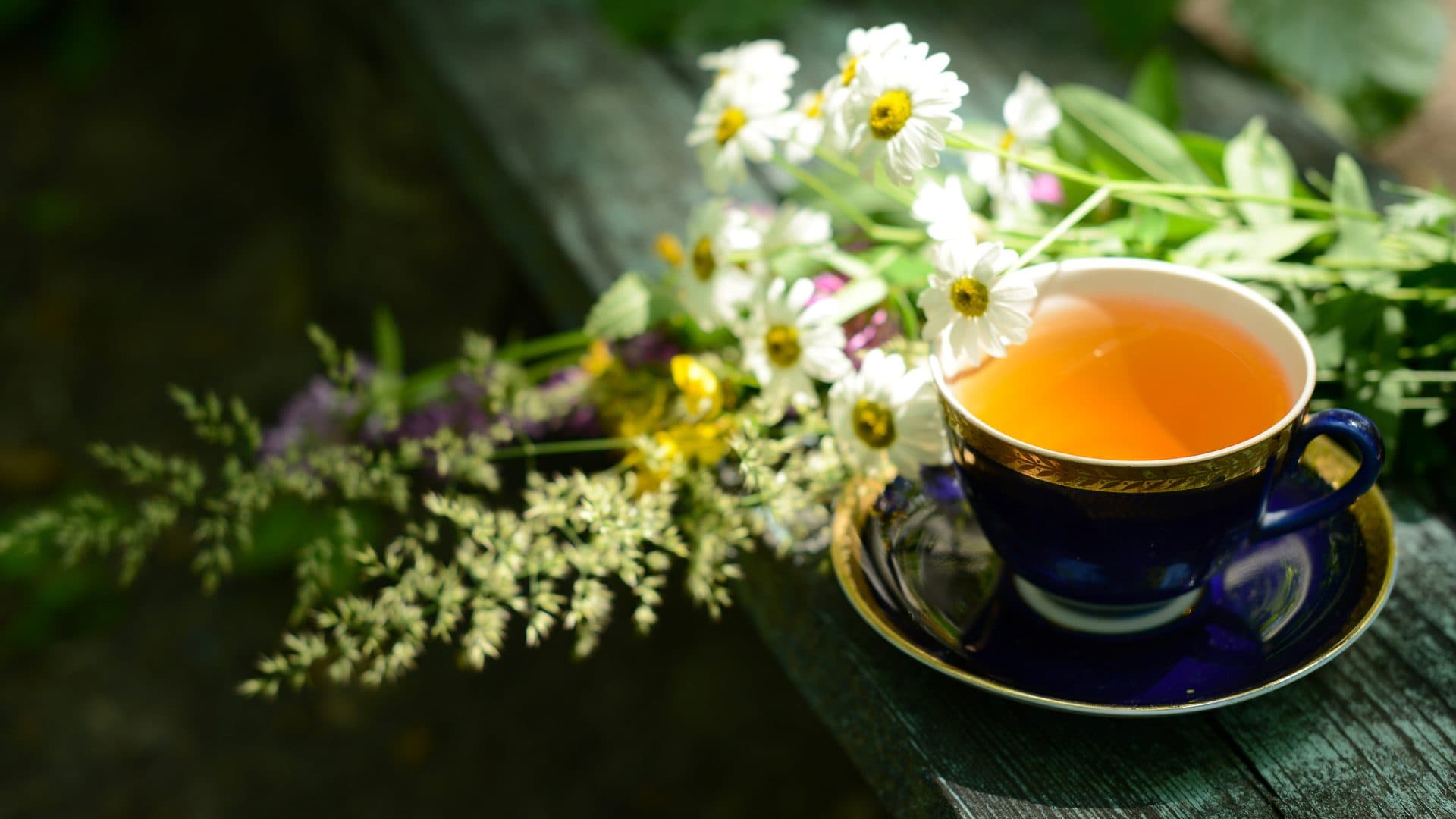 Dunkelblaue Tasse mit Goldrand und bernsteinfarbenem Kräutertee auf einer verwitterten Holzbank, daneben weisse kamillenähnliche Blüten und Gräser